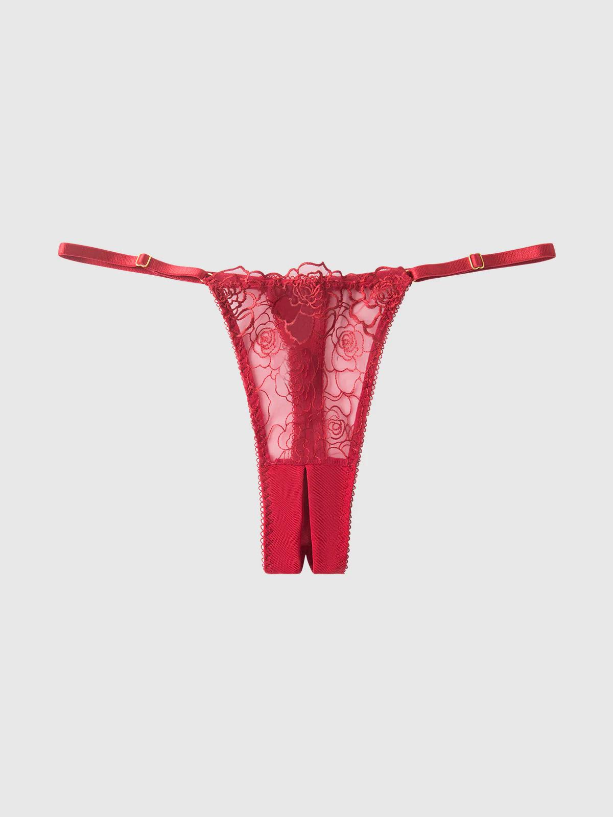 ROSALIE EMBROIDERED LACE & MESH CROTCHLESS THONG