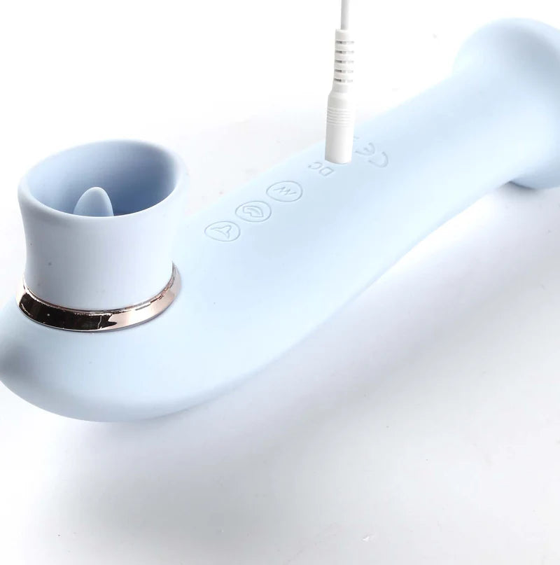 DESTINY 15-Function Rechargeable Suction + Vibration