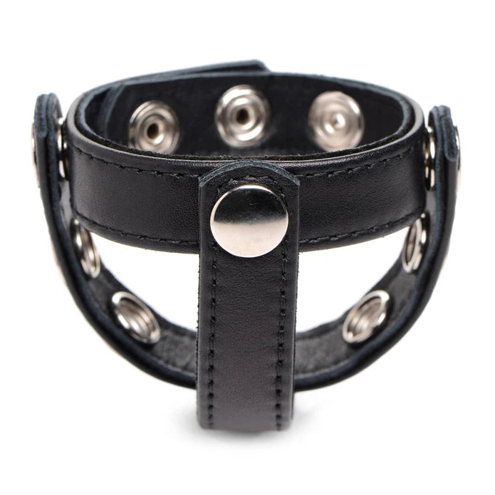 Cock Gear Leather Snap-on Cock Harness