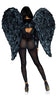 DELUXE FEATHER WINGS