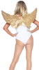 GOLD FEATHER WINGS