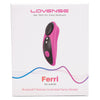 Lovense Ferri Vibrating Panty