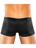 Male Power Nylon Spandex Zipper Short