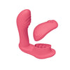 BLAZE REMOTE CONTROL SATISFIER