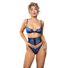 EMBROIDERED BRA AND WAIST CINCHER SET