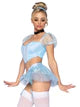 Glass Slipper Cinderella