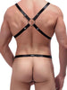 Male Power Rip of Harness Set
